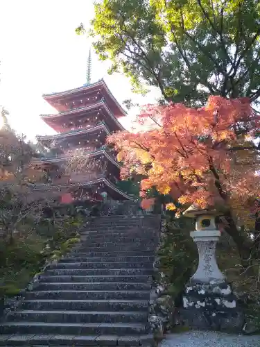 竹林寺の塔