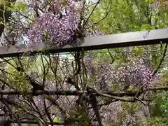 葛西神社(東京都)