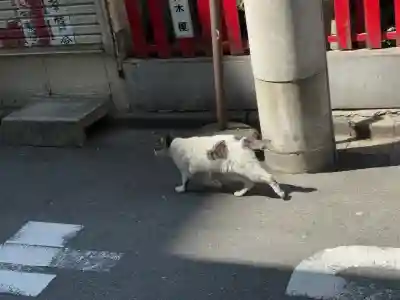 装束稲荷神社(王子稲荷神社境外摂社)(東京都)