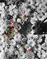 札幌諏訪神社の手水舎