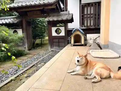 麟祥院(東京都)