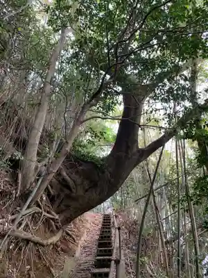蔵王神社の周辺
