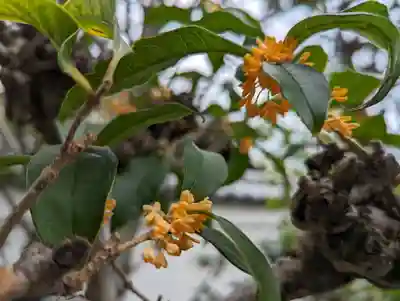 妙蓮寺(京都府)