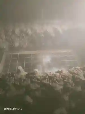 走湯神社(静岡県)