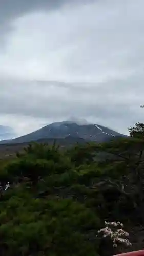 寛永寺別院浅間山観音堂の景色