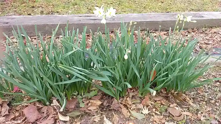 比佐豆知神社の自然