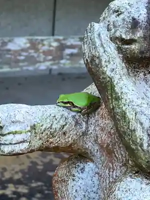 興禅寺(和歌山県)