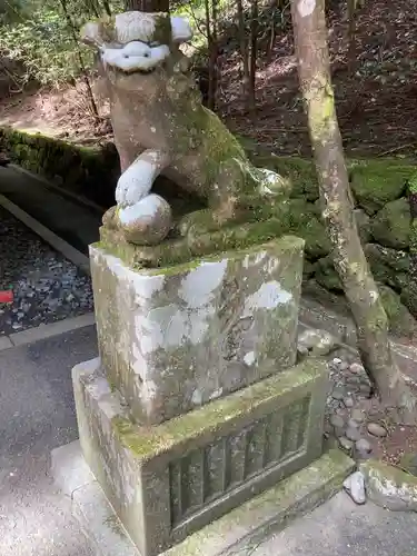 箱根神社の狛犬