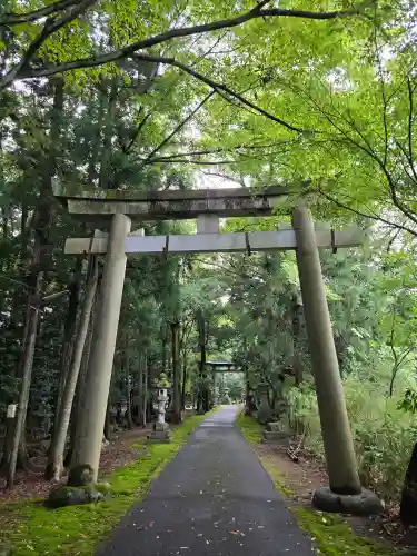 舟津神社(福井県)