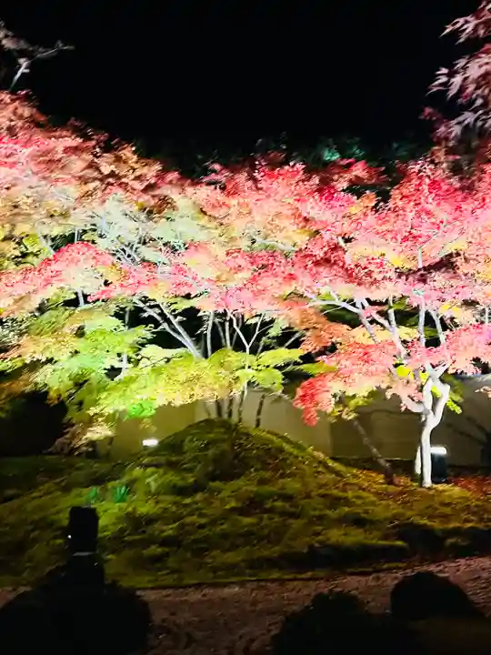 円通院(宮城県)