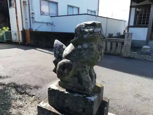 蛭子神社（横須）の狛犬