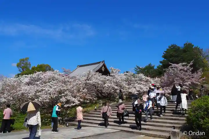 仁和寺(京都府)