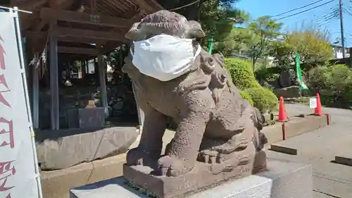 金ヶ作熊野神社の狛犬