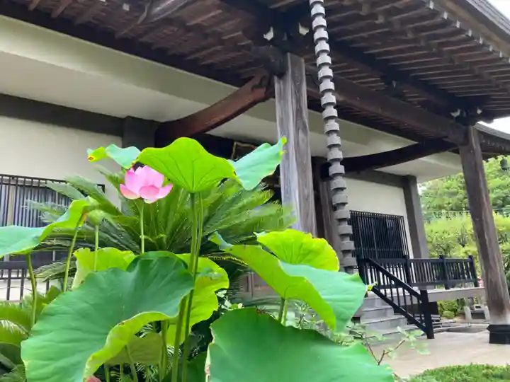 東福寺(東京都)