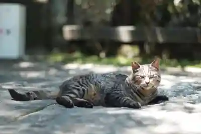 宝山寺(奈良県)