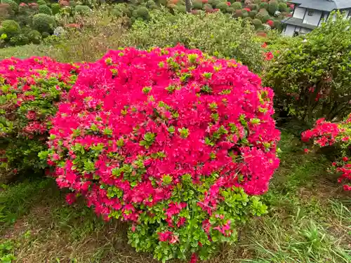 塩船観音寺(東京都)