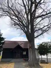 中の島神社(北海道)