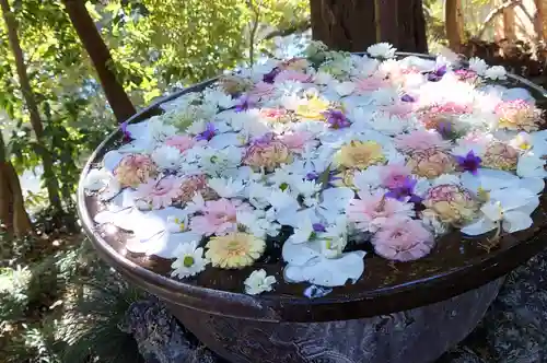 武蔵一宮氷川神社(埼玉県)