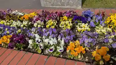 東神楽神社の周辺