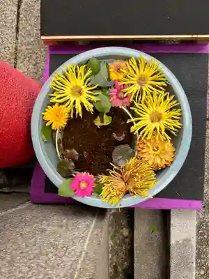 徳島眉山天神社(徳島県)