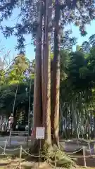 大神神社(栃木県)