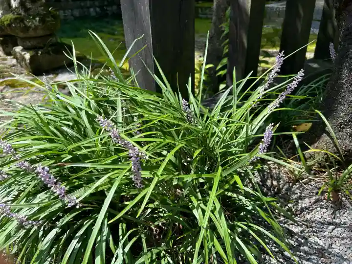 慈雲寺(長野県)