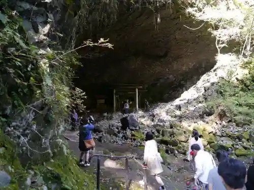 天岩戸神社の自然