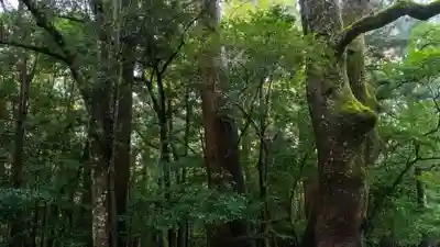 伊勢神宮内宮（皇大神宮）(三重県)