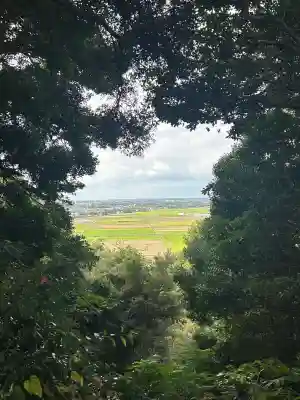雷神社(千葉県)