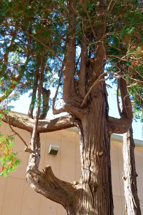 姫宮社(長野県)