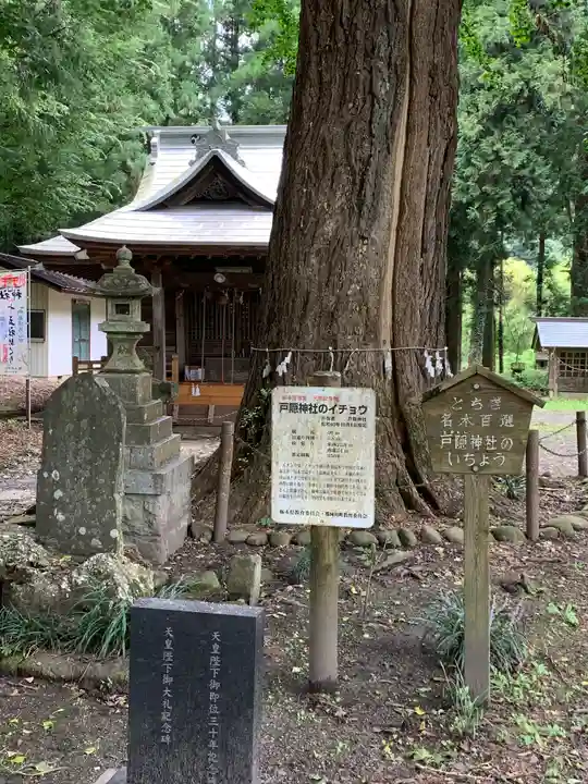 戸隠神社の自然