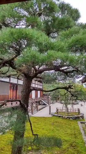 仁和寺の庭園