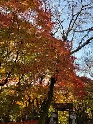 松ヶ崎大黒天 妙圓寺（妙円寺）(京都府)