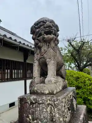 錦織神社の狛犬