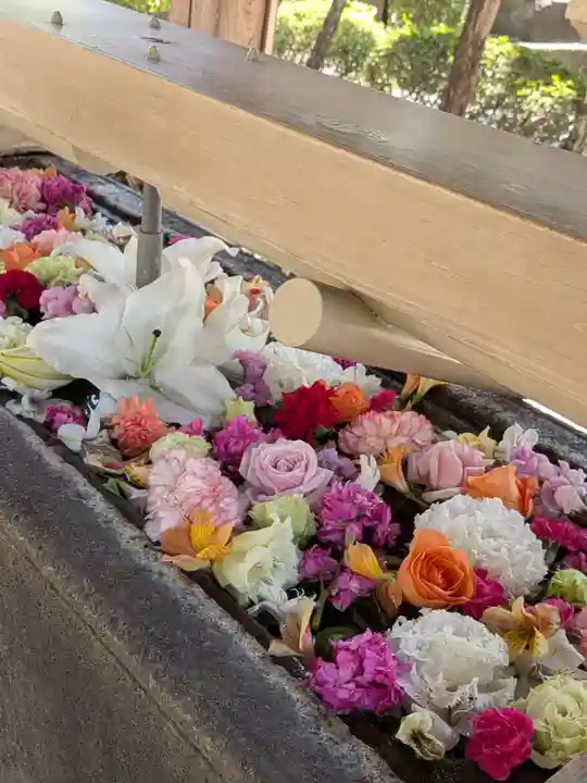 鳩森八幡神社(東京都)