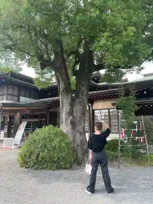 尾張大國霊神社（国府宮）(愛知県)