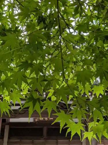 大正寺(東京都)