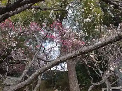 谷保天満宮(東京都)