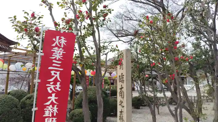 臨南寺(大阪府)