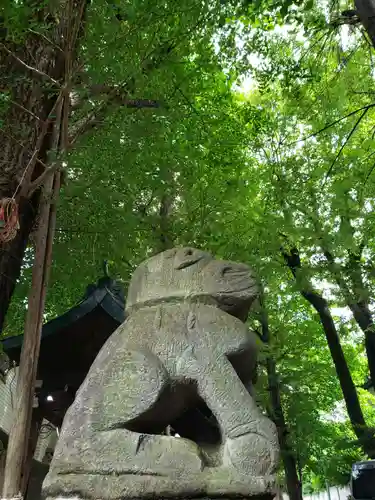 穏田神社の狛犬