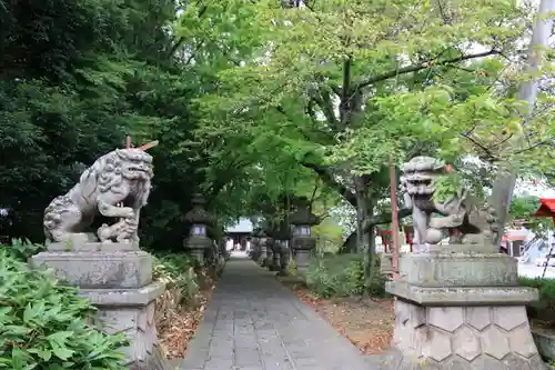 神炊館神社 ⁂奥州須賀川総鎮守⁂の狛犬