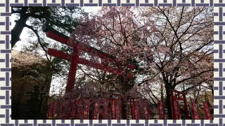 於菊稲荷神社(群馬県)