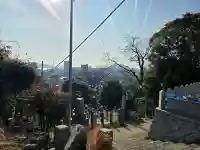 大師寺の{uncategorized: "未分類", other: "その他", undefined: "問題あり", building: "その他建物", grave: "お墓", sacred_gate: "鳥居", guardian: "狛犬", statue: "像", buddha: "仏像", history: "歴史", nature: "自然", garden: "庭園", animal: "動物", pagoda: "塔", temizu: "手水舎", mountain_gate: "山門・神門", sanctuary: "本殿・本堂", subordinate: "末社・摂社", art: "芸術", scenery: "景色", jizo: "地蔵", ema: "絵馬", goshuin: "御朱印", omikuji: "おみくじ", items: "授与品その他", amulet: "お守り", goshuincho: "御朱印帳", eats: "食事", festival: "お祭り", votive_dance: "神楽", shichigosan: "七五三参", wedding: "結婚式", experience: "体験その他", initially: "初詣", around: "周辺", anti_infection: "感染症対策"}