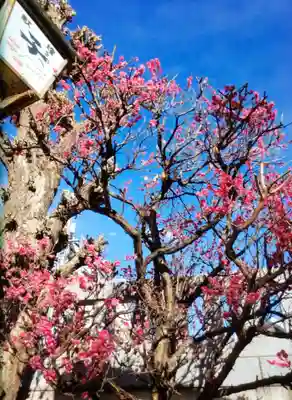 大國神社(東京都)