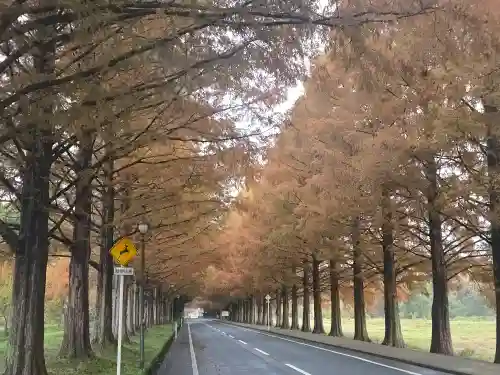 山神社 (マキノ町牧野)(滋賀県)