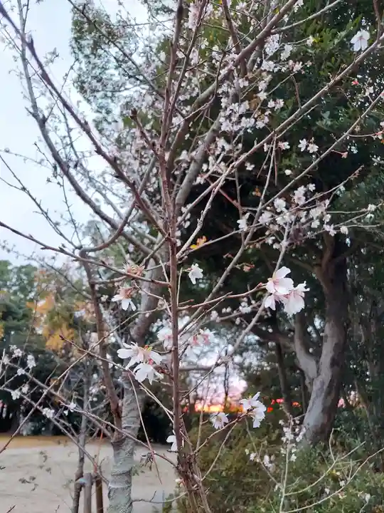 小垣江神明神社(愛知県)