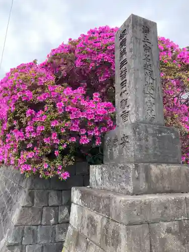 安養院　(田代寺）(神奈川県)