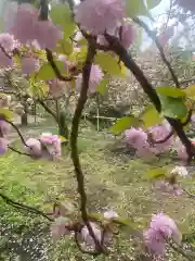 一心寺(大分県)