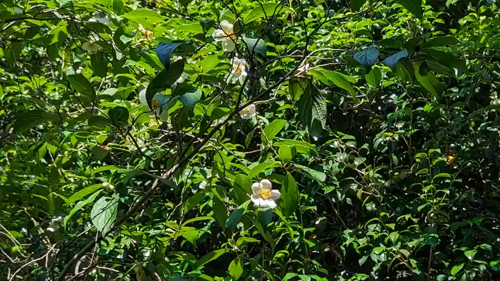 東林院(京都府)