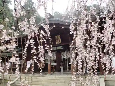 大石神社の本殿・本堂